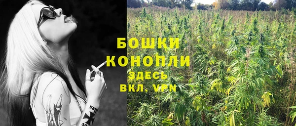 мет Арсеньев