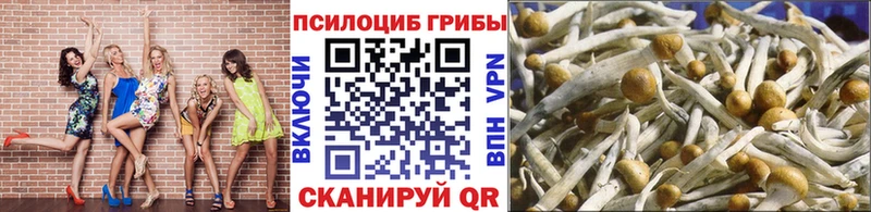 Галлюциногенные грибы прущие грибы МЕГА онион Мариинский Посад