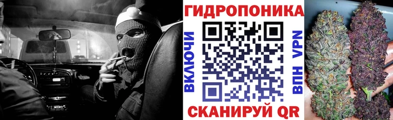 площадка какой сайт  Мариинский Посад  Бошки Шишки конопля 